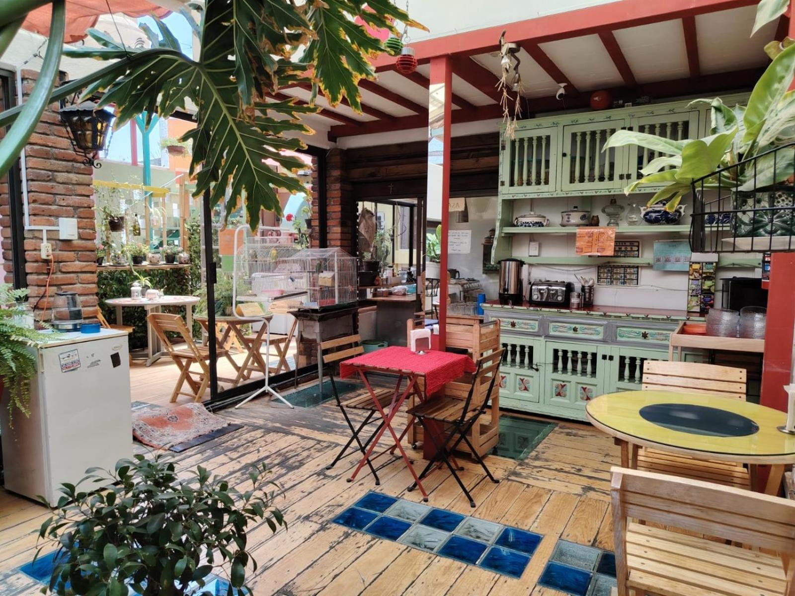 Hostel Mexico Df Airport מראה חיצוני תמונה